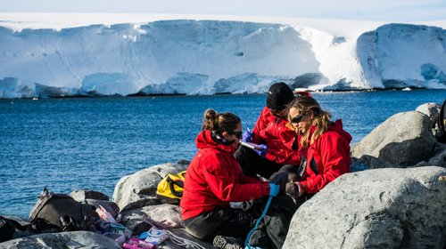 Institucionalidad y proyección para la ciencia antártica