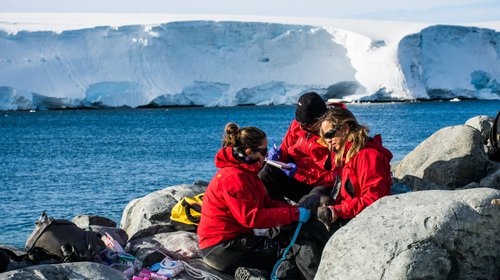 Congreso aprueba Estatuto Chileno Antártico que integra al Ministerio de Ciencia para la promoción científica en el territorio