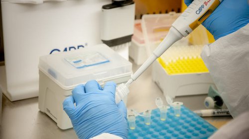 Laboratorio de Biología Molecular de la Universidad de Atacama ha analizado más 100 mil test PCR en Atacama