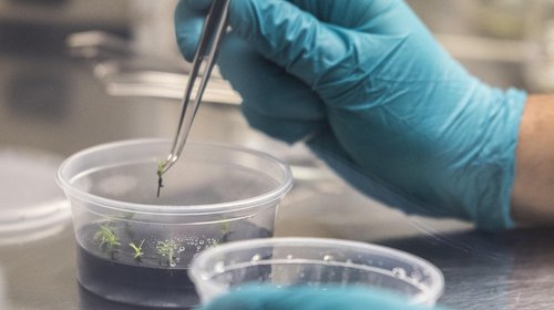 Nuevas pólizas de garantía para StartUp Ciencia en Banco Estado
