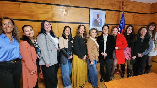 Con amplia participación de la macrozona norte se realizó la primera sesión de la Mesa de Género en CTCI 2025