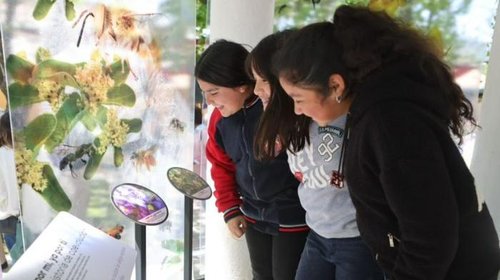 MinCiencia lanza fondos para la realización de eventos públicos de ciencia, tecnología, conocimiento e innovación