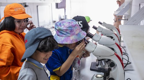 Se abre convocatoria para sumar actividades al Festival de las Ciencias 2025