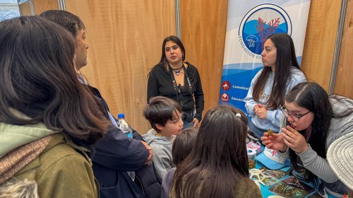 Grandes y pequeños disfrutaron del Festival de las Ciencias en Valdivia