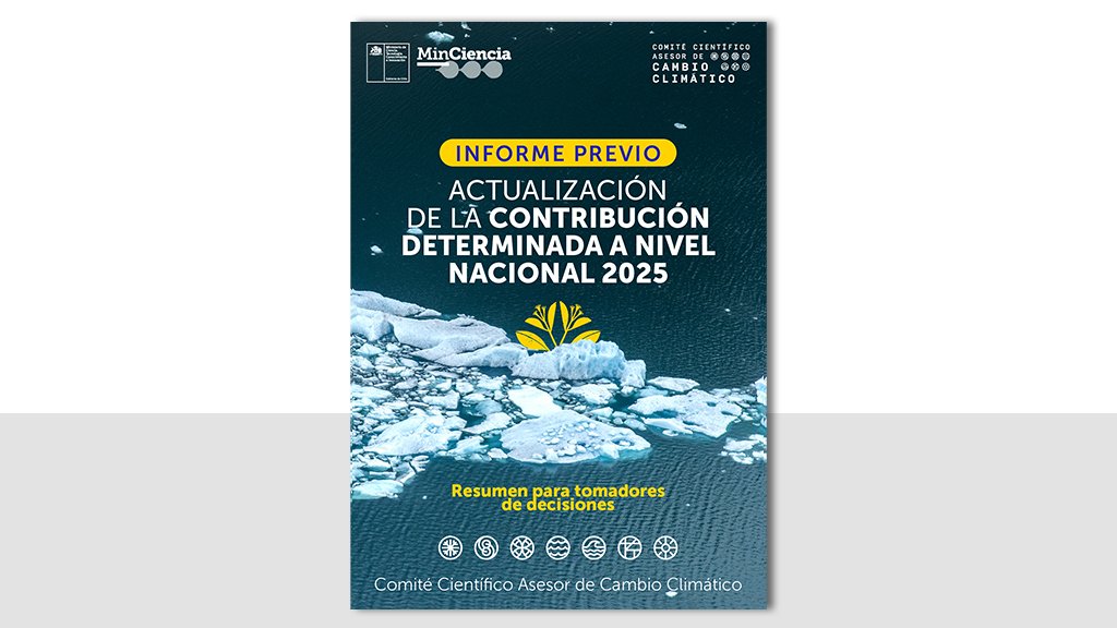 Resumen para tomadores de decisión en Español