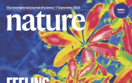 Nature, Revista Científicas